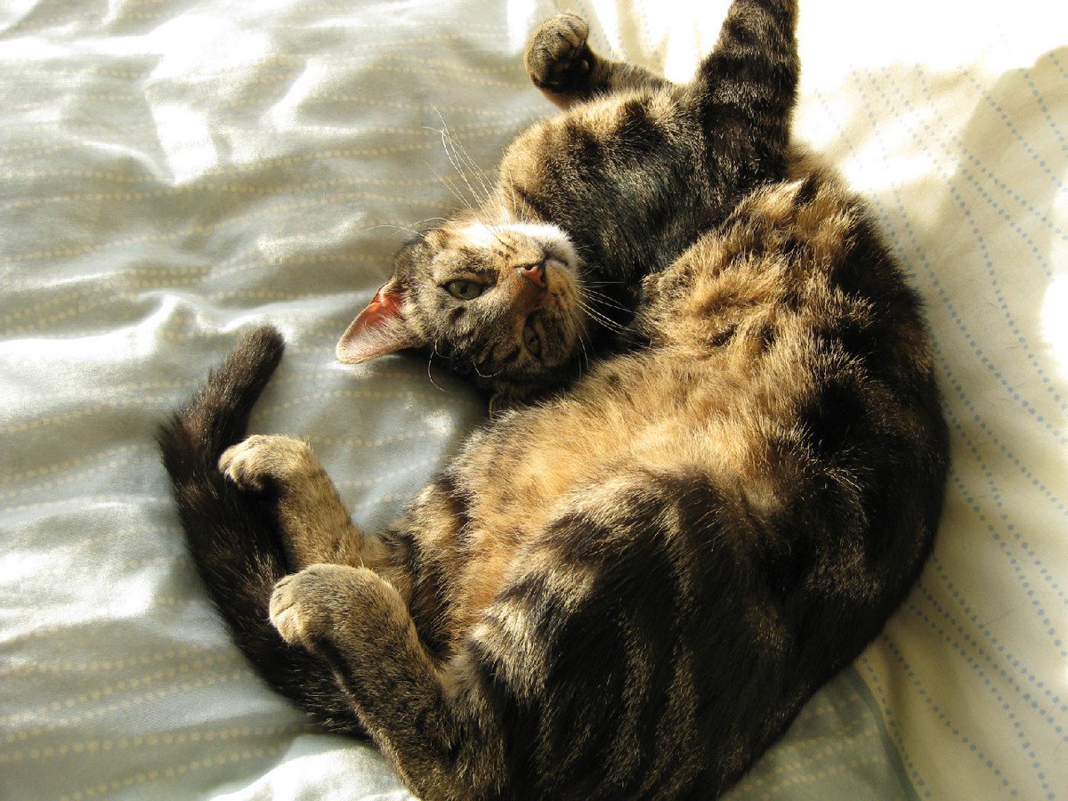 This is my bro, showing off his big belly..!