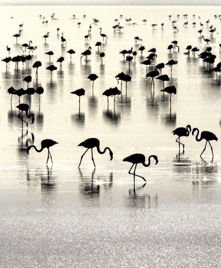 Ksenija_Ksy's tweet photo. Kiran Sham #photography https://t.co/qfEDuX8uNK