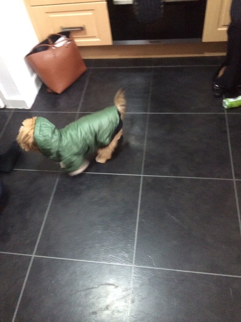 German3Ian's tweet photo. I got a new coat today. Love it #bubblecoat #keepmedry https://t.co/V0wFrZZdDc