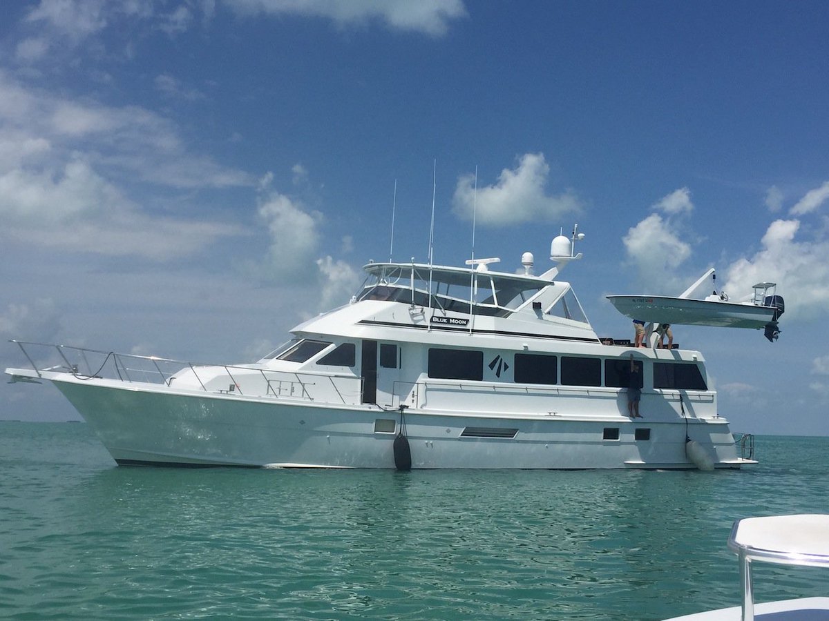 ElevenAngling's tweet photo. Loading the Mothership for an epic couple of days in the Everglades. #lifeoffthechart #Everglades #elevenangling https://t.co/OvEC7C1pYt