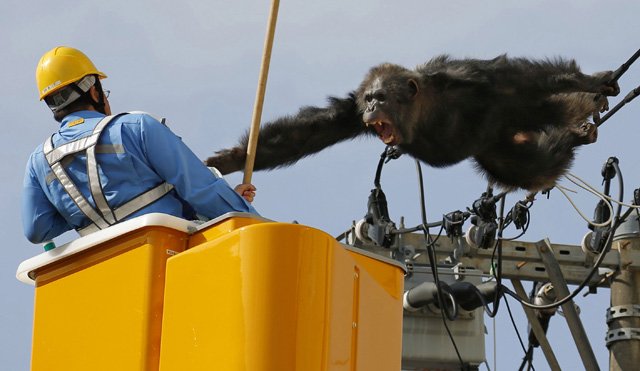 CgF9lteVIAANGvS.jpg:large