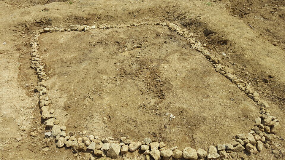 씨씨씨를 뿌리고.. 물을 주었죠.. 하룻밤 이틀밤 싹이 났어요!

광교호수공원 밭에 오늘은 5살 아이들이 돌을 고르고, 씨를 뿌리고 물을 주었어요! 어떤 모양의 이쁜 싹들이 나오게 될지 기대되지죠? 개봉박두