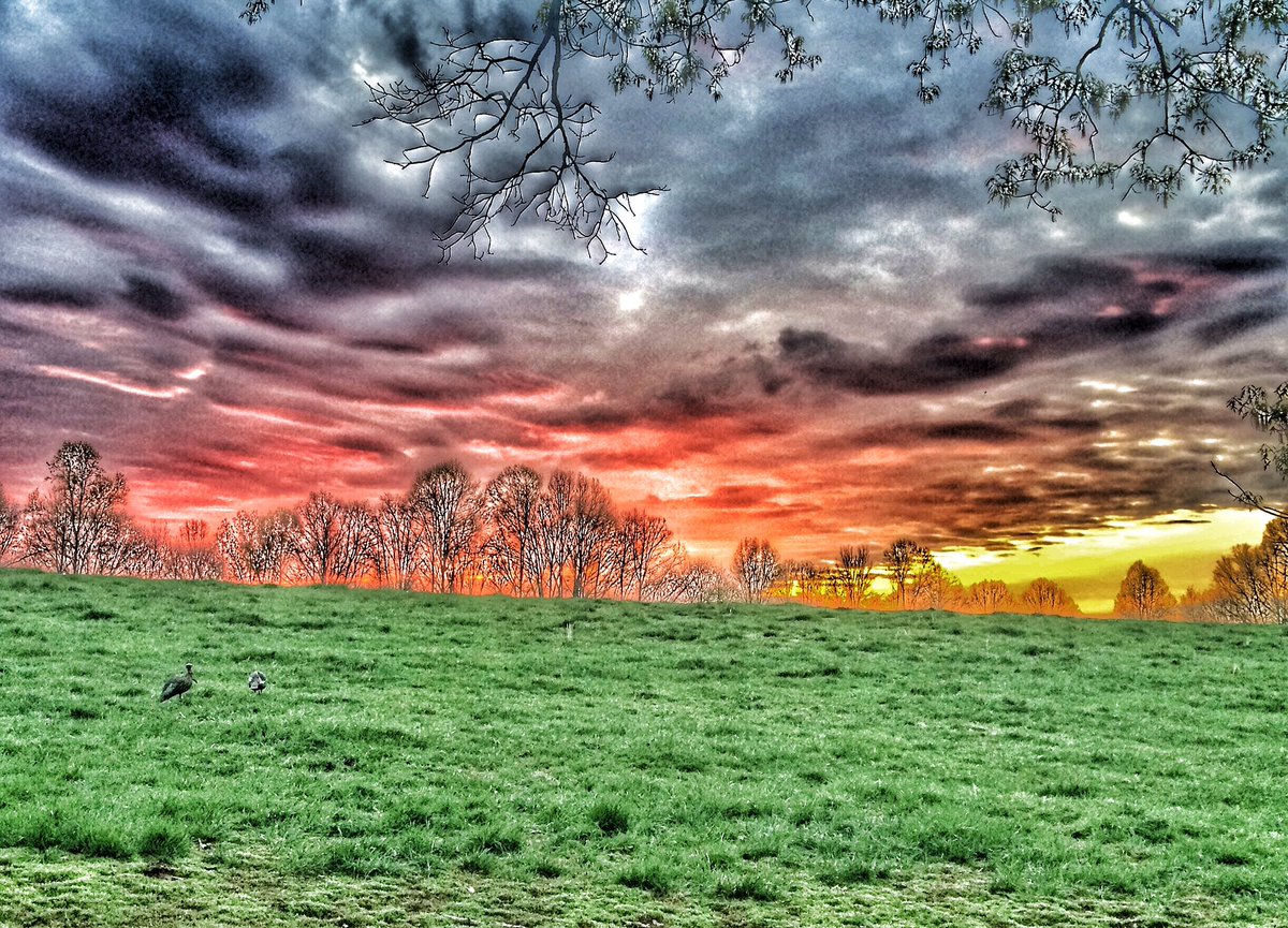 MossyOakPro's tweet photo. Enjoying a beautiful morning with a buddy turkey hunting! https://t.co/urm1VuyeuV