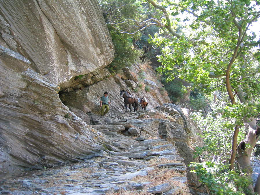 explore_evia's tweet photo. another #trekking day at #dimosaris #canyon #evia #Greece https://t.co/OFzmKpAcae