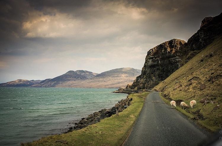 JackRabbitRally's tweet image. Just some of the stunning roads in #Scotalnd you can expect to drive with @JackRabbitRally 🐰🏁