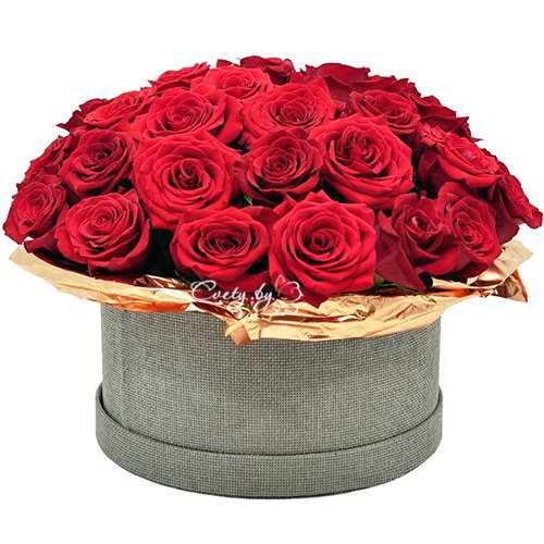 CvetyBy's tweet photo. #Букет #Розы #ЦветывКоробке
Цена: $112
https://t.co/Ke1WqoFjvv

#цветы #доставка #доставкацветов #минск #беларусь https://t.co/6fw4fFoVTZ