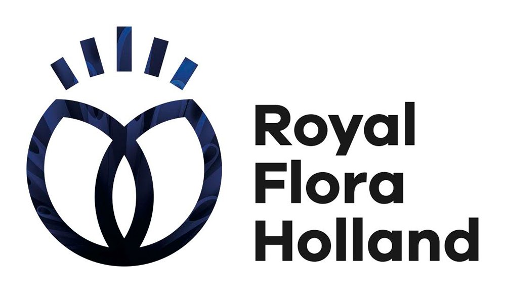 Vandejong gaat aan de slag voor <a href="/FloraHolland/">Royal FloraHolland</a>. Samen werken we aan een bijzonder innovatie project. Stay tuned!🌷