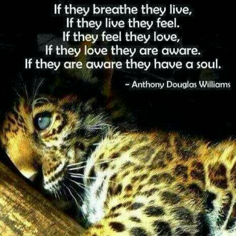 adv_pareshh90's tweet photo. @levifineart @NatGeo @Discovery @htTweets @AdiliaGlenn @AnimalPlanet @MercyForAnimals https://t.co/uTPV9vuiEm