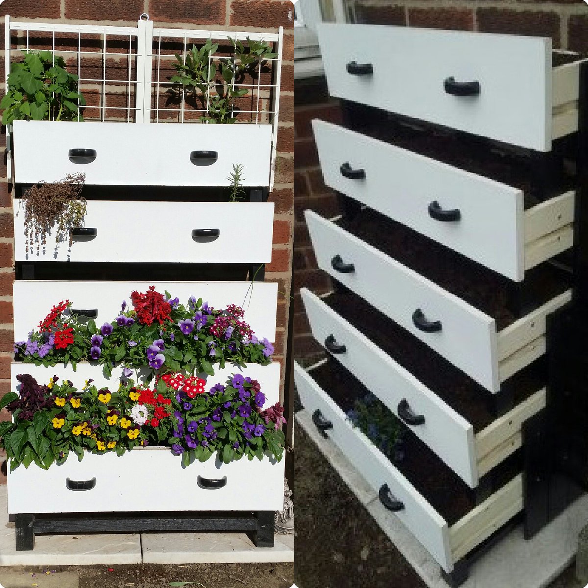 BDB_DBinx's tweet photo. PR9. 'Tiered Planting Drawers'
#BDBArt #uniqueart #1offs #paperflowers #handmade #art https://t.co/HZOCMhc14O