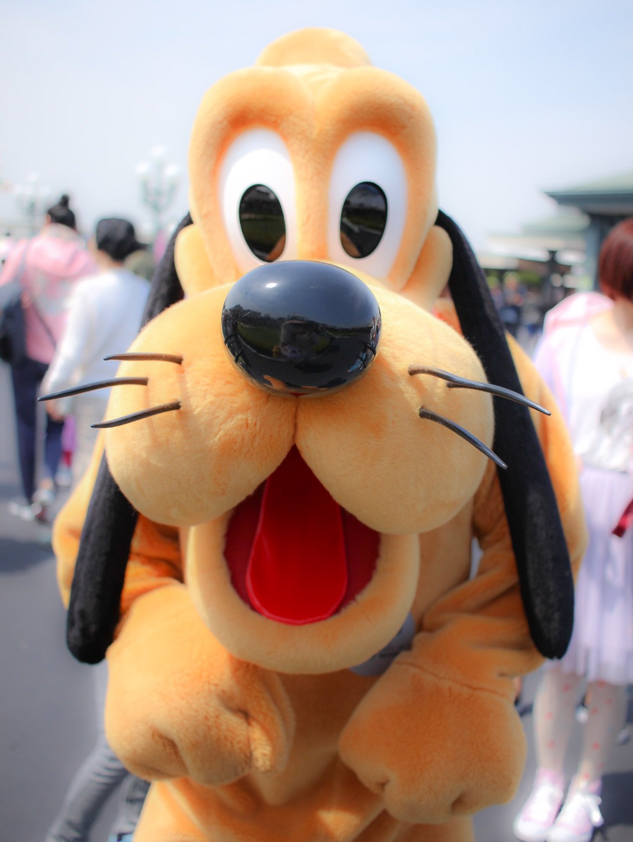 ディズニーランド33周年 Twitter Search Twitter