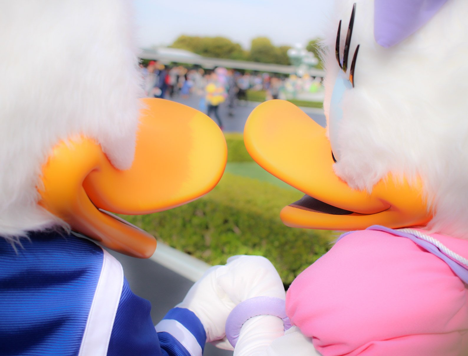 ディズニーランド33周年 Twitter Search Twitter