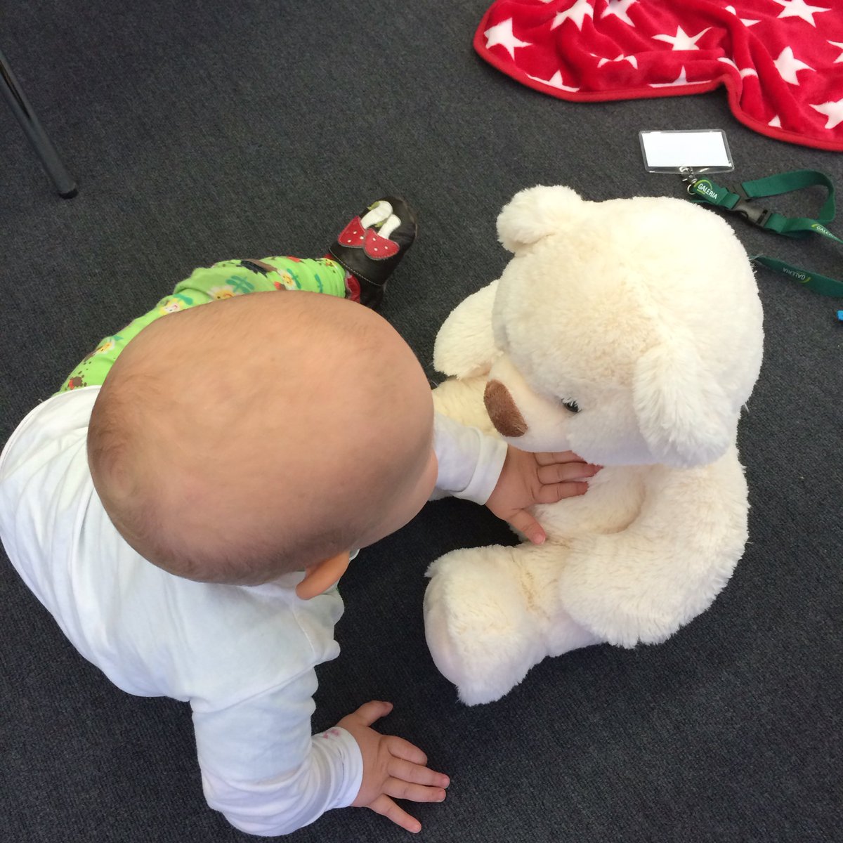 RabaukenMamii's tweet photo. Der Kaufhofbär 😍❤️
#gkbc https://t.co/7QtfQHDPP1