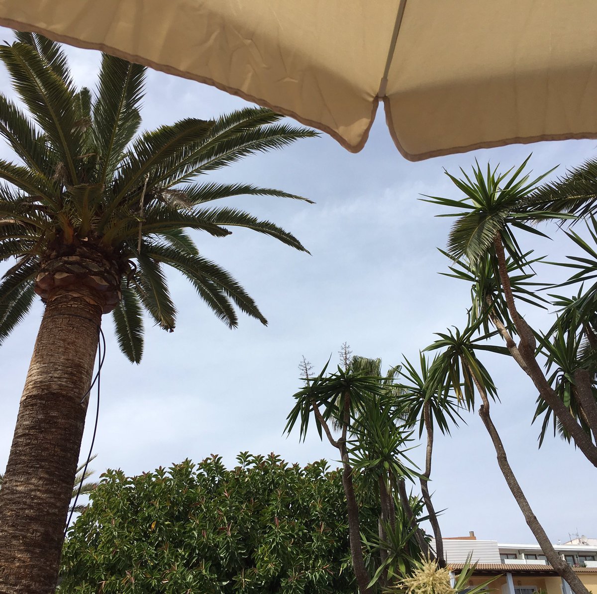 NRanimaa's tweet photo. #Aktiiviloma'mme hiipui tänään #passiiviloma'ksi. #vacation #Baleaarit #Alcudia #loma https://t.co/xgO9mUfQV1