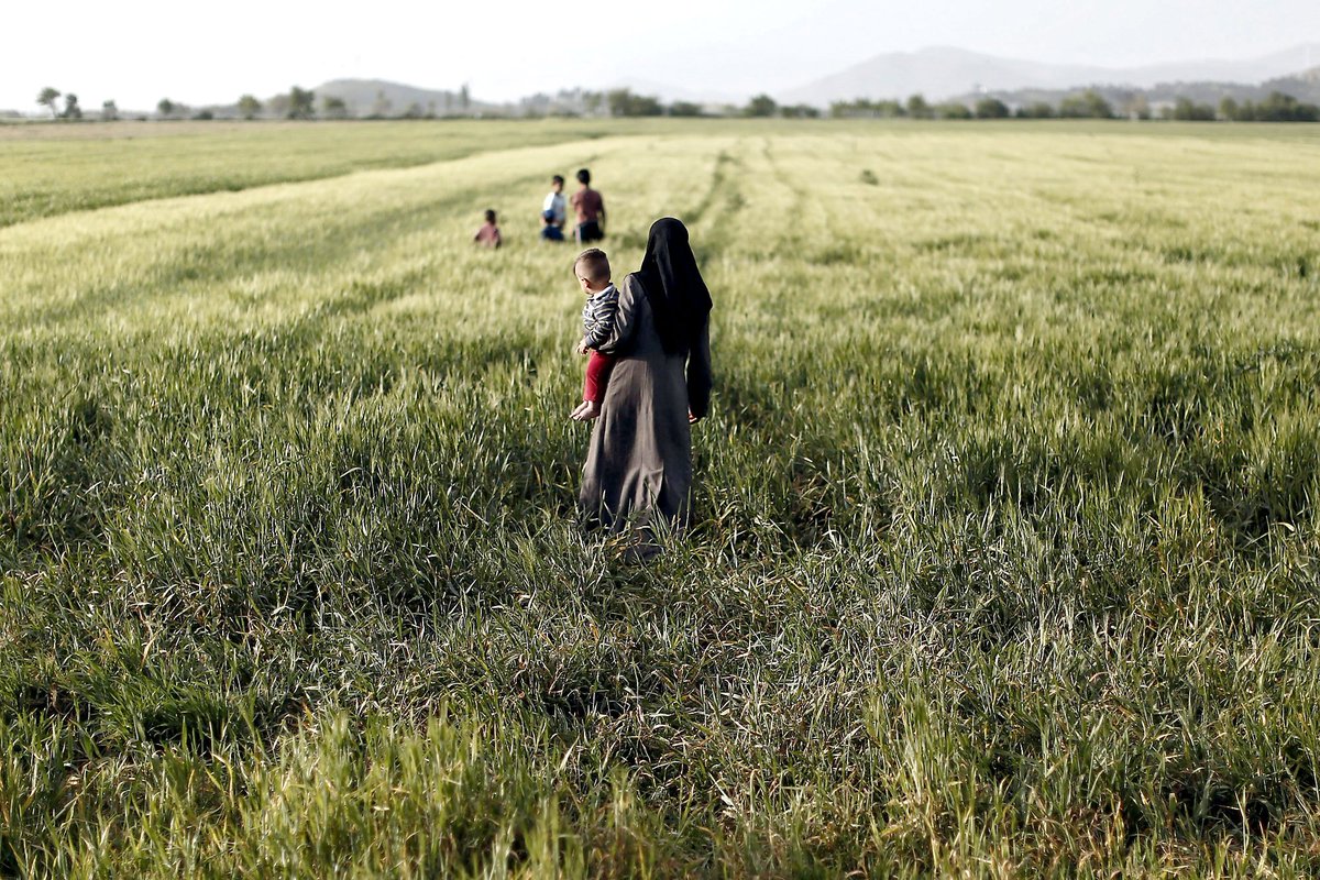 elcorreoweb's tweet photo. .@CaritasSevilla destina 300.000 euros a los refugiados de Siria e Irak: https://t.co/gqLWVxrKLO https://t.co/ObTrU2t6Jw