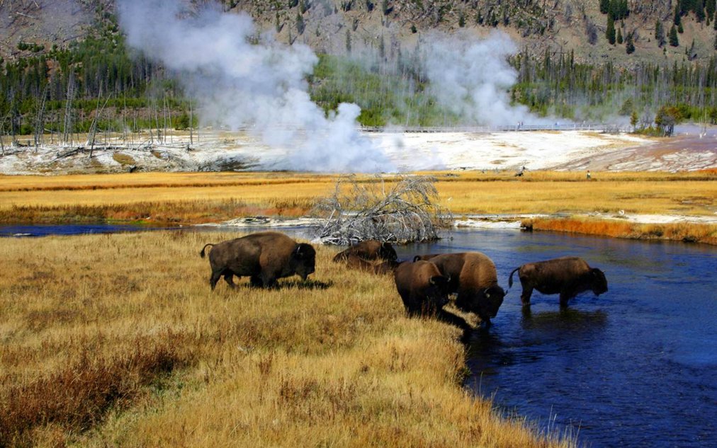 lonelyplanet's tweet photo. Insider’s guide to Yellowstone: where to trek and geyser gaze without the crowds https://t.co/OLq5y02phr https://t.co/ySZcVj3hbS