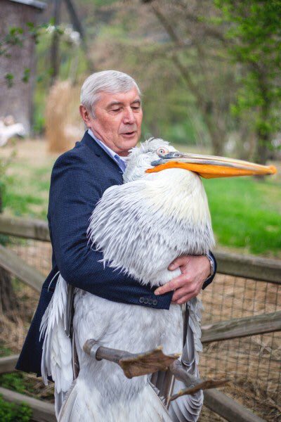 touchtunesjesus's tweet image. Me whenever i see an animal that isn't a spider