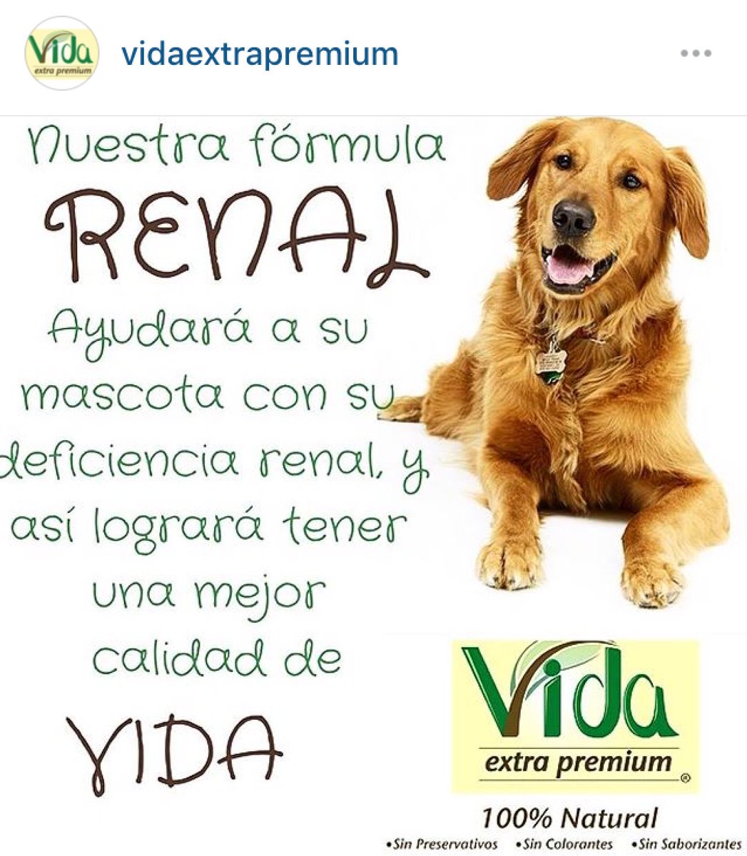 VidaMascotas's tweet photo. Perros con deficiencia RENAL podrán tener una mejor calidad de VIDA al consumir una dieta especialmente formulada https://t.co/JZkIojKT7b