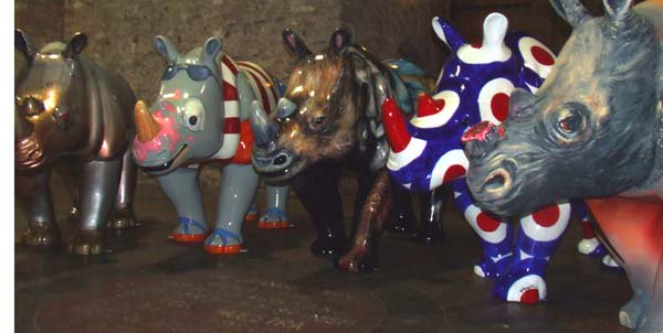 Wild Planet Trust News tweet media