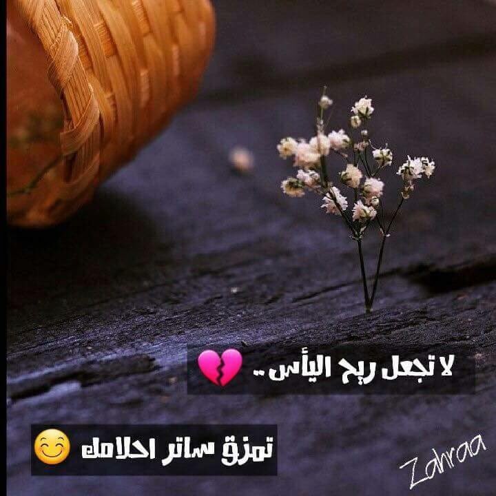 محـد ملزمـہ يكون بجانبـي 
ترهہ ﺂالدنيا سَهلْـهۃ قۄٰل إكَرهكہ ☺️
اقول مـع ﺂإلسلامـهہ 😔👋🏻 
مہ هيہ صـ؏ـبهۃ .💭💚
❜❛  🔕