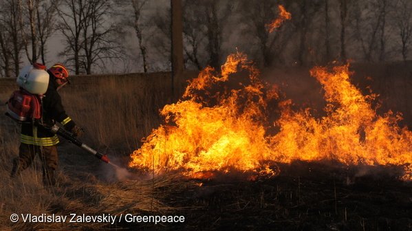 Greenpeace International tweet media