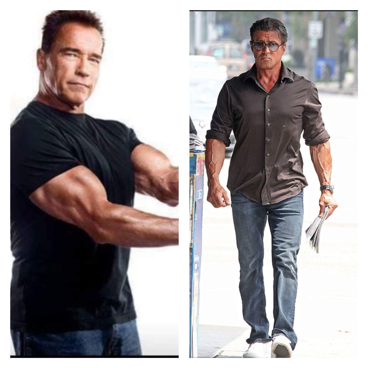 TeamFit_Clean's tweet image. #arnold #swarc #workout  #gym #stalone  #beast #Legends