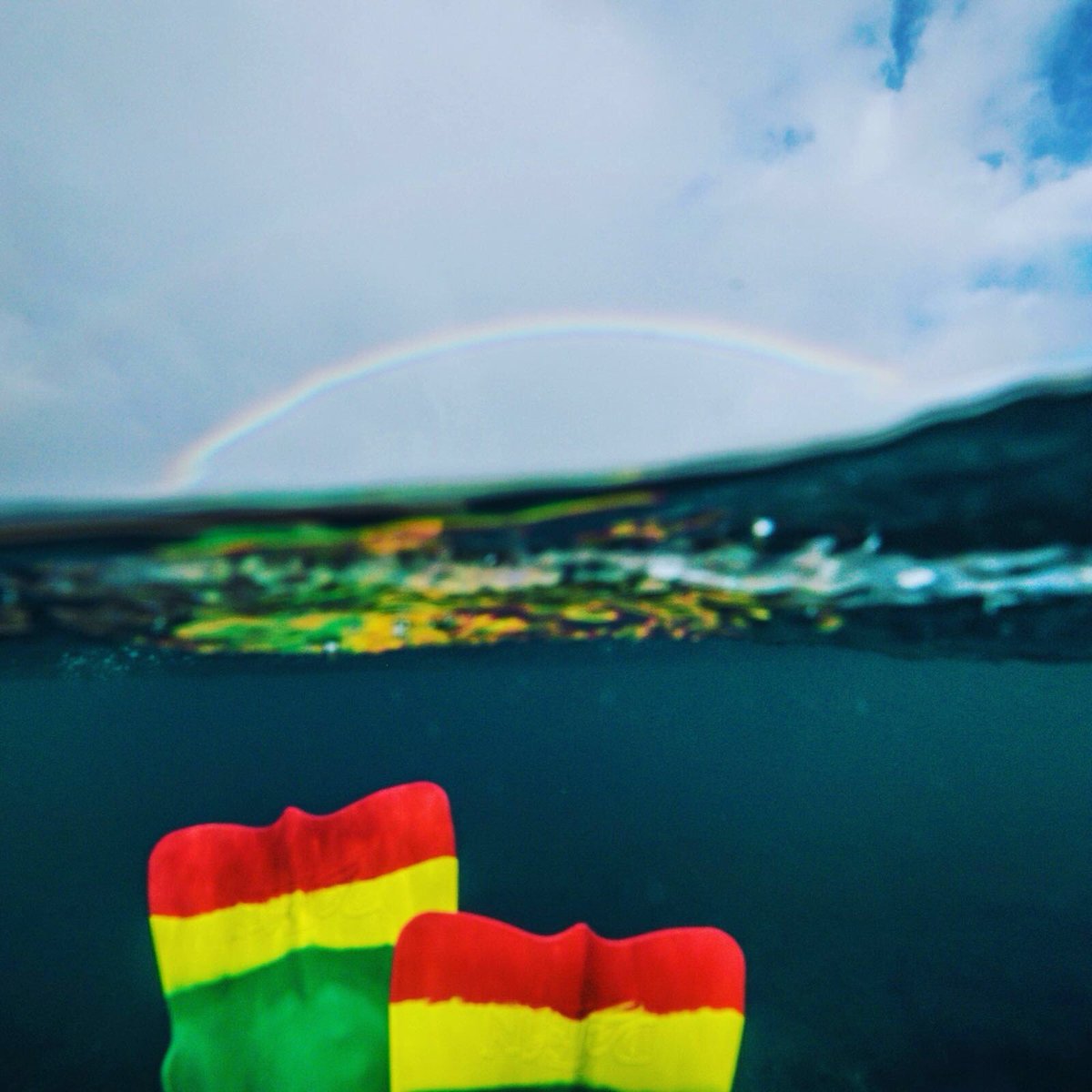 GlobalShots's tweet photo. The Ho'okipa office view. Rasta reflections! #filmmaking #Waterphotography #Maui @Surfdome @windsurfmag #ocean https://t.co/tYONQIRwvE