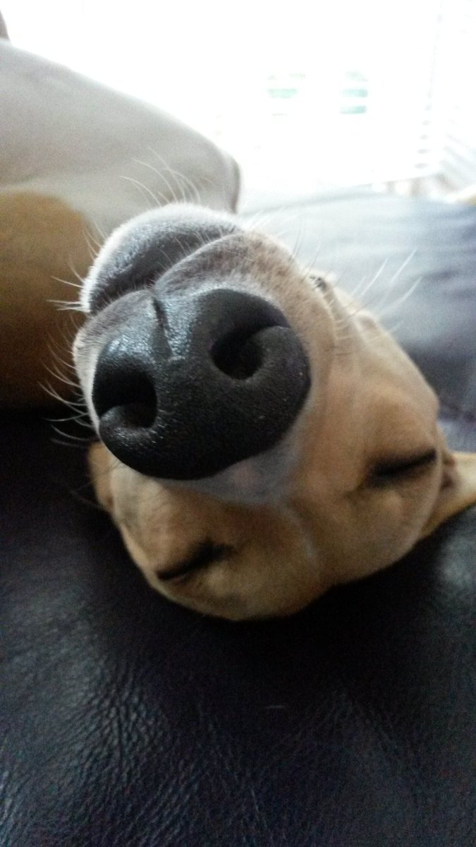 EdithMaas's tweet image. 