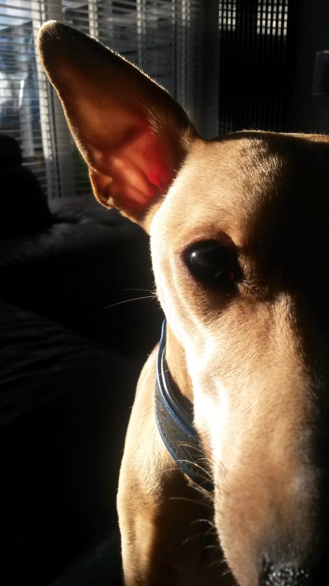 EdithMaas's tweet image. 