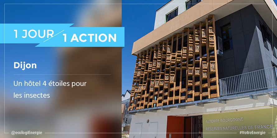 En centre-ville de Dijon, les insectes ont désormais leur hôtel ➡ votreenergiepourlafrance.fr/un-hotel-4-eto… 🐝🐜🐞 #biodiversité