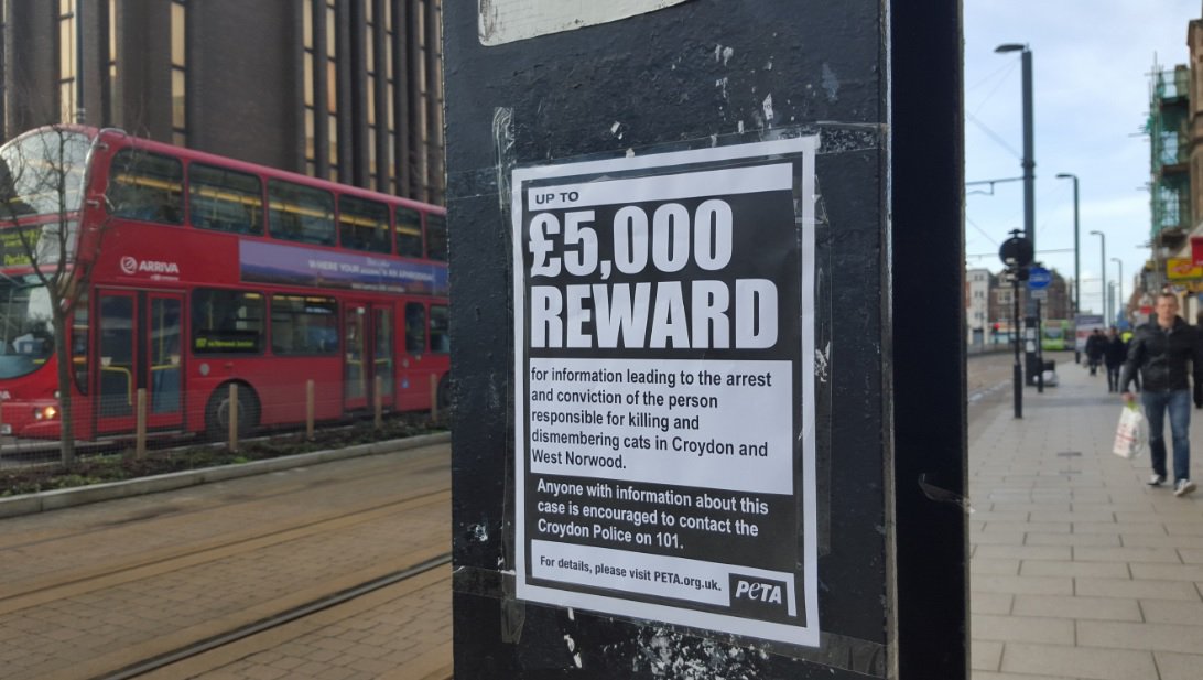 PETAUK's tweet photo. SHARE to help find the Croydon cat killer. 
Keep animals at risk safely indoors. 🐱
https://t.co/Glh9p4bmhj https://t.co/7wkCdOAjG5