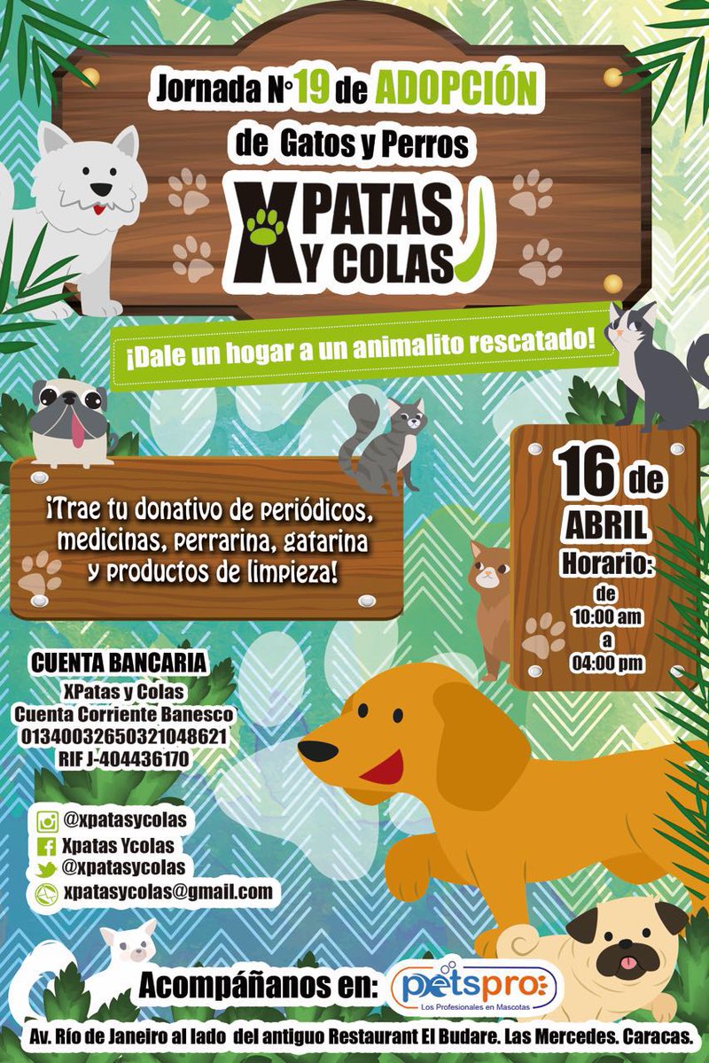 #Hoy es el día! RT <a href="/xpatasycolas/">XPatasyColas</a>: #sábado 16/04 Ccs, ven y #adopta #brinda1hogar, tienda <a href="/PetsProVe/">PetsPro Venezuela</a> #AdoptaNoCompres