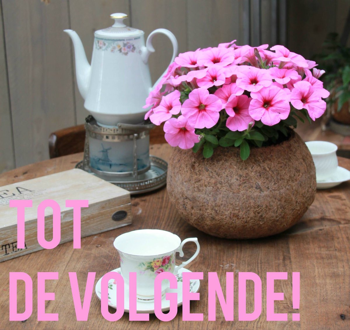 Spring Fair zit er weer op! Zien we jullie ook op de <a href="/FloraHolland/">Royal FloraHolland</a> Autumn Fair 7 &amp; 8 september in Naaldwijk?