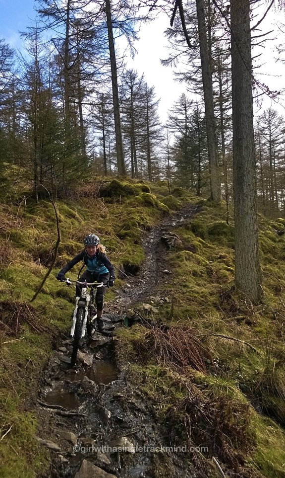 Blog post on exploring some of Grizedale's awesome unmarked trails! wp.me/p4hrnY-8x #mtb #LakeDistrict