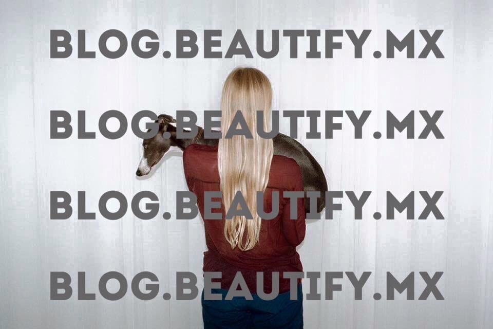 Beautifymx's tweet photo. ¡Te invitamos a conocerlo! 😀 #BeautifyBlog #ExpresaTuEstilo #BeBeautify https://t.co/8O83L0XfTa