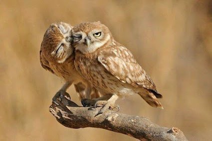 Azdorov's tweet photo. Всем хорошего настроения!  #лето #nature #summer https://t.co/158JpHhWsq