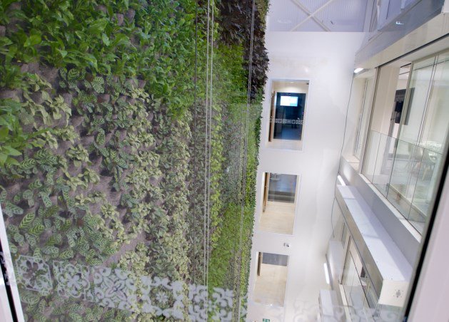 #Mechelen - KBC-kantoor heeft 16 meter hoge verticale tuin - gva.be/cnt/dmf2016041… via <a href="/gva/">Gazet van Antwerpen</a>