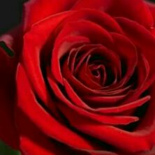 B20052002's tweet image. 