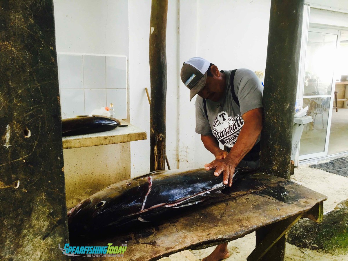 SpearfishingTdy's tweet image. Bad Boys. Good hunters. Punto. #howdeepcanyougo #spearfishing #playadelcarmen Join us: SpearfishingToday.com