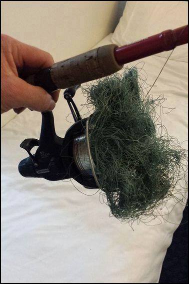 DollarFishing's tweet image. Who laughs at their buddy when this happens? #birdnest #fishing