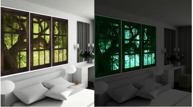 JannaRRobinson's tweet image. These natural themed #glowinthedark murals #startonight mural wallart @muralwallart can improve ur view #techorating