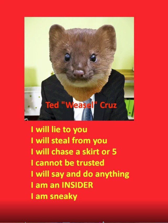 RedRebelReports's tweet image. @TxTrumpMom @mitchellvii #LyingTedTheWeasel #EstablishmentPuppet #You'reAMoronIfYouSupportCruz #💯%FULLOFSH*T