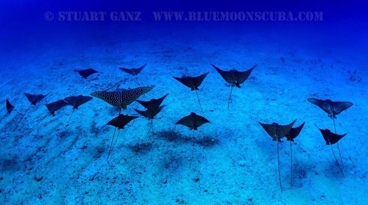 The weekend is upon us