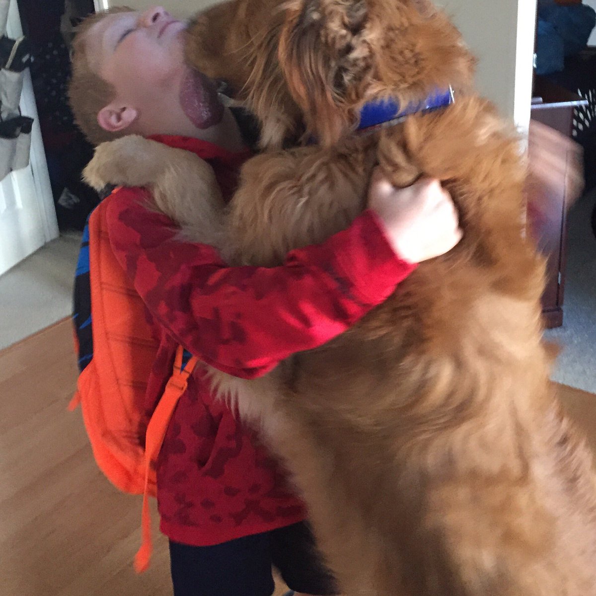 _lcsutton's tweet image. Wrigley giving Matt some loving before school!! ❤️