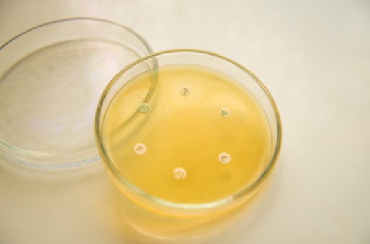 #Antibiorésistance : 10 millions de décès attendus en 2050 pourquoidocteur.fr/Articles/Quest…