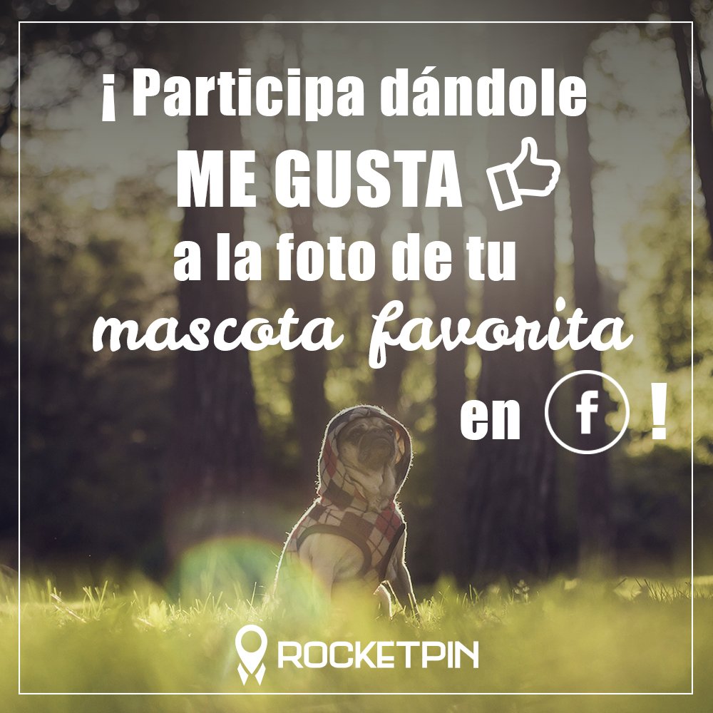 RocketPinChile's tweet photo. SHOPPERS ! HA LLEGADO CONCURSO MASCOTAS!
PARTICIPA AHORA YA A TRAVÉS DE NUESTRO FAN PAGE! #BuenViernes #RocketPinApp https://t.co/WT0xCWsdZt