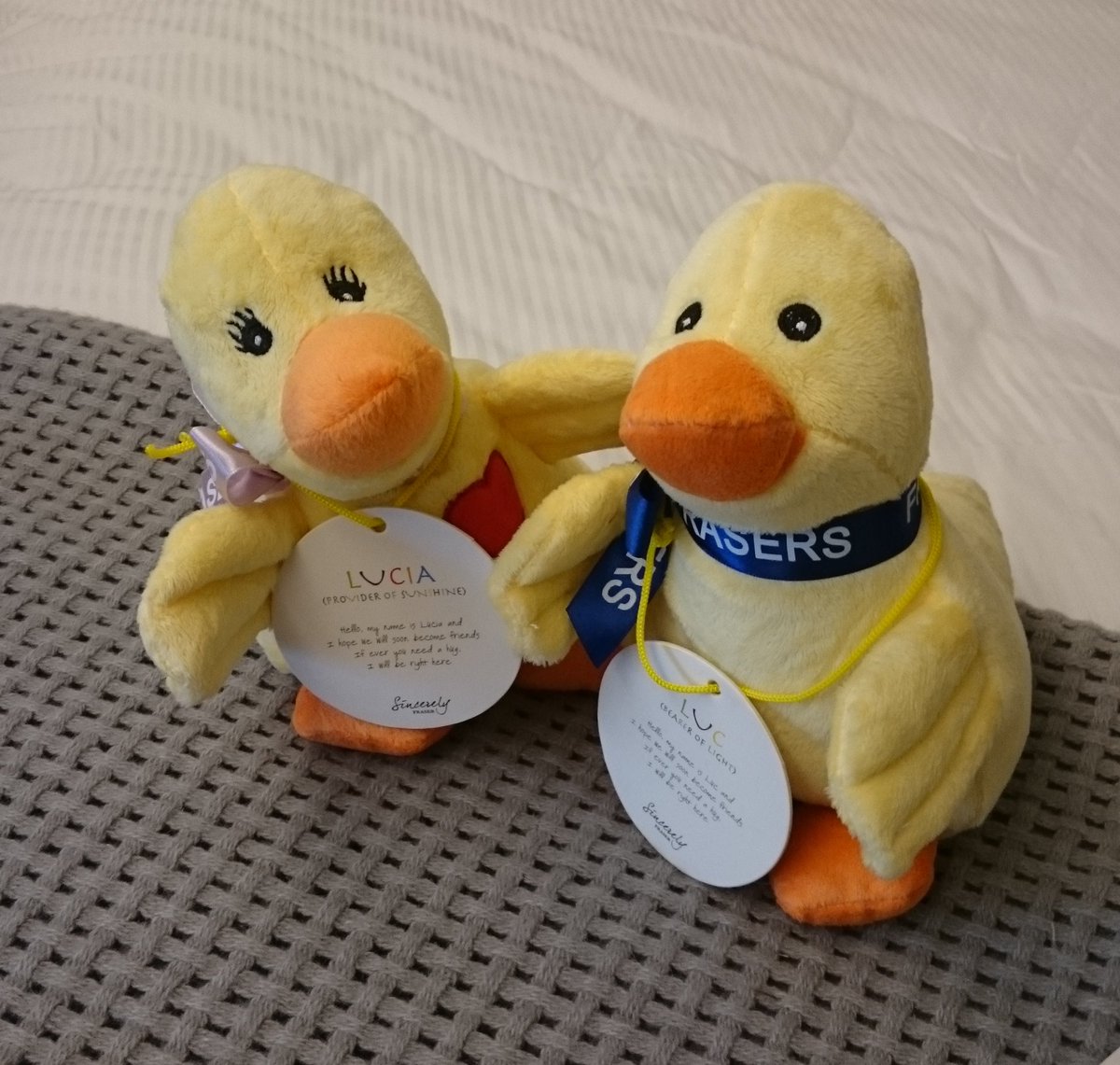 Meet our new little travel buddies Luc and Lucia, gonna definitely be taking them on a few adventures! #FSGeneva