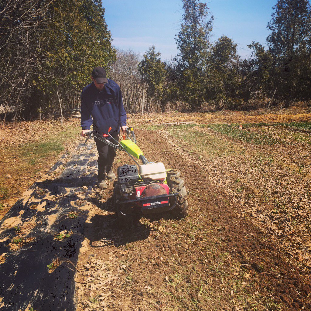 CommonGroundTF's tweet photo. #organic #smallfarm loving the nice weather and ready to plant peas and salad mix for @mustardseedcoop https://t.co/yexYkjGGI5