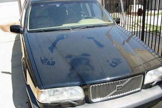 A dejar huellas este finde semana ..has que cuente !! 
#BuenViernes