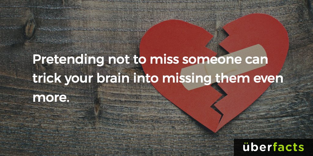 UberFacts tweet picture