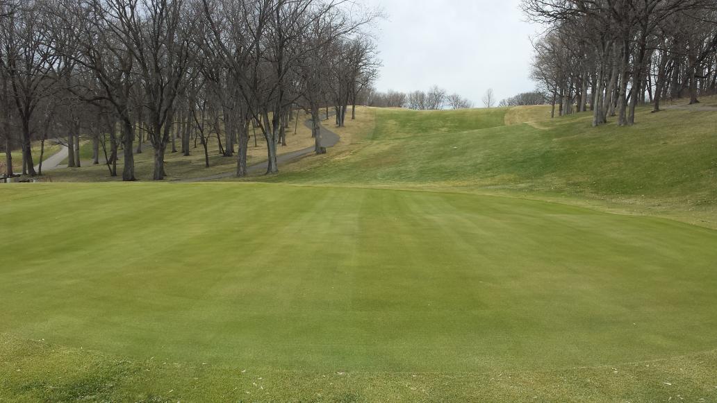 #firstmow #mngolf#wildflowergolfcourse